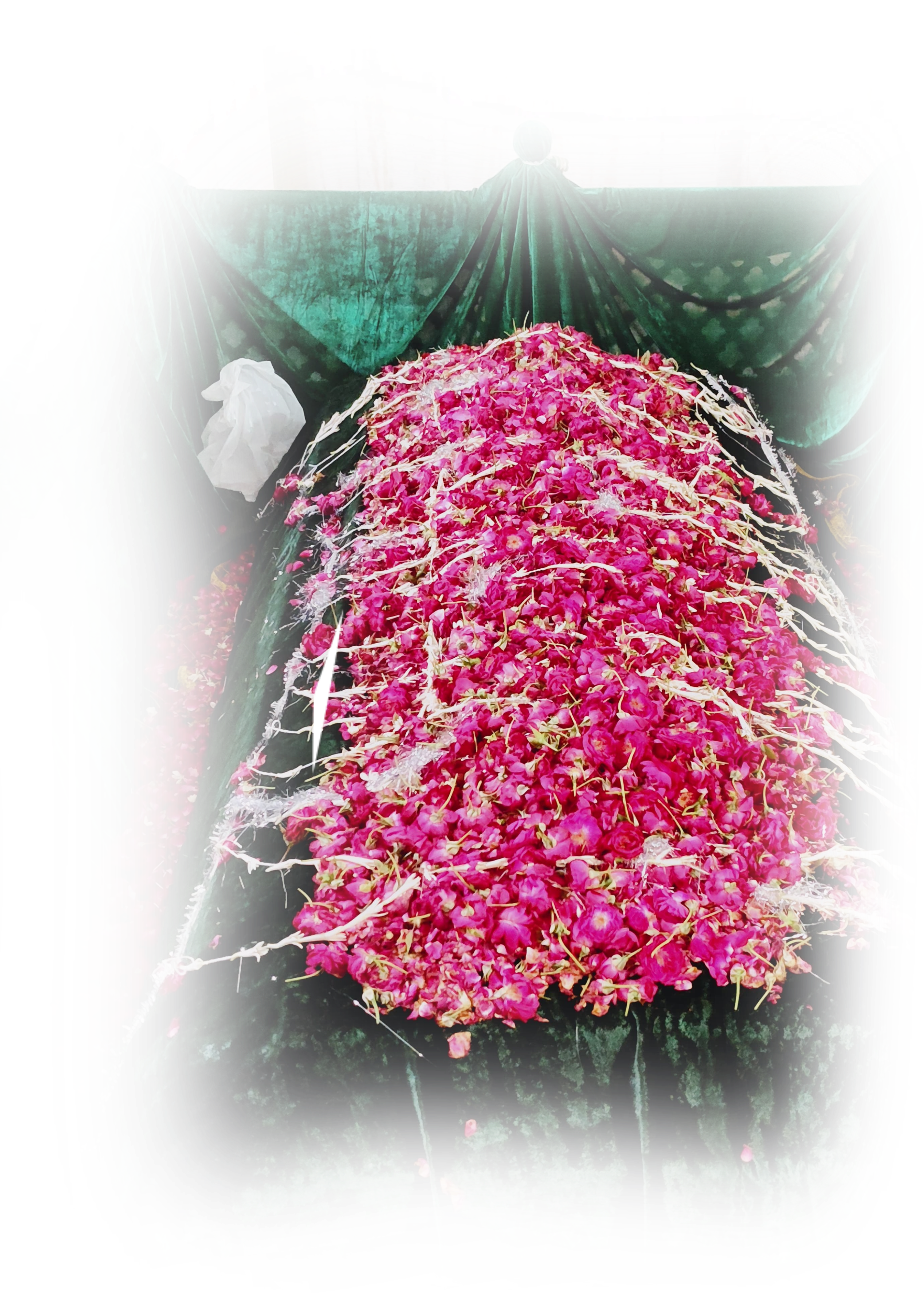 Abdul Haq Mohaddis Dehelvi PNG